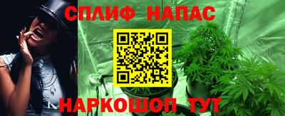 кокс Бийск