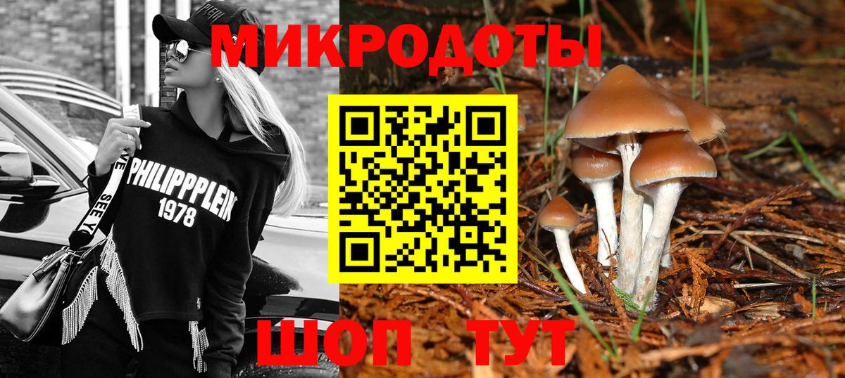 Знаменск  Галлюциногенные грибы Psilocybe  Вход с VPN 